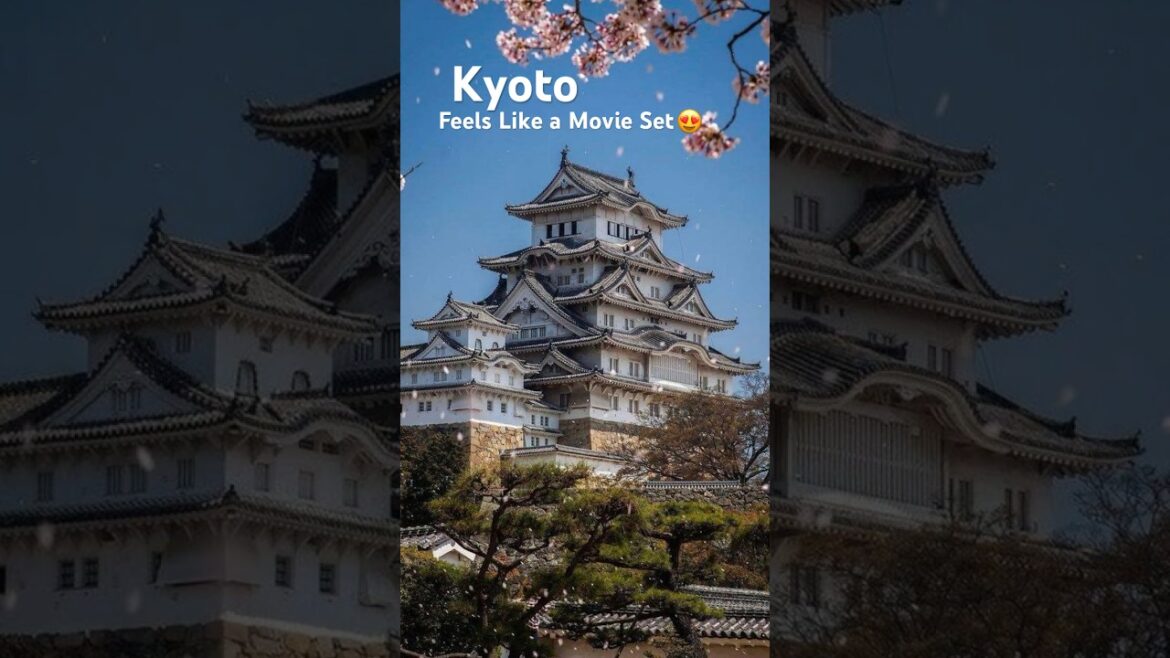 Kyoto Travel Guide 2025 π―π΅ | Temples, Geishas, Bamboo Forests & Hidden Gems! #travel #niyo Kyoto Travel Guide 2025 π―π΅ | Temples, Geishas, Bamboo Forests & Hidden Gems! #travel #niyo