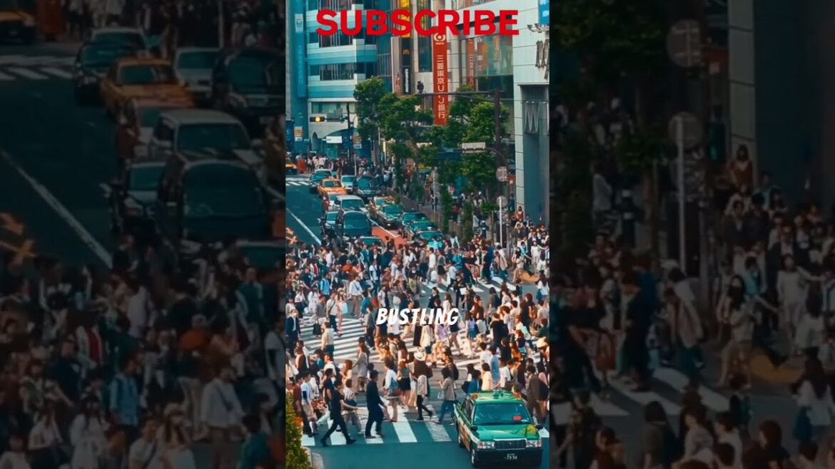 From Temples to Trains Japan’s Surprising Secrets! From Temples to Trains Japan’s Surprising Secrets!