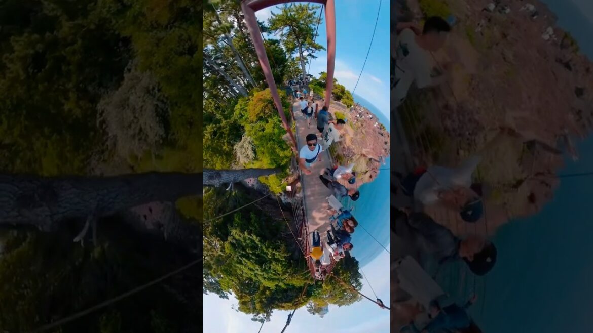 POV: You escaped the noise 🍃 #viralvideo #travel #nature #kyoto