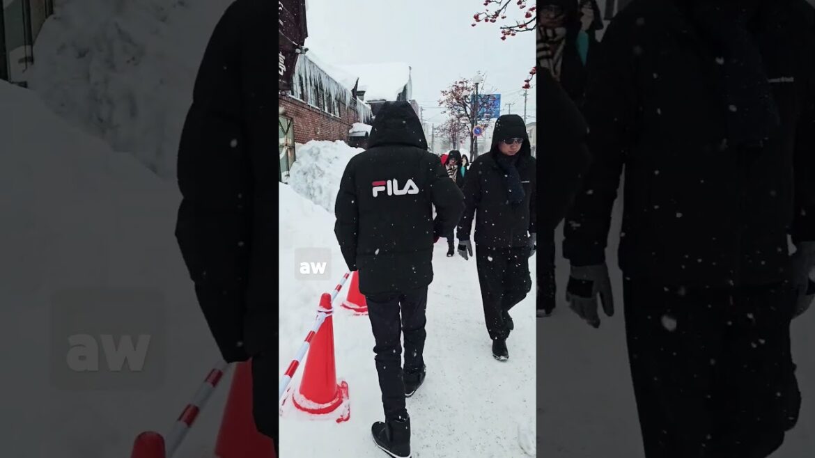 Otaru Canal, Hokkaido Japan #japan #hokkaido #jepang #travel #winter