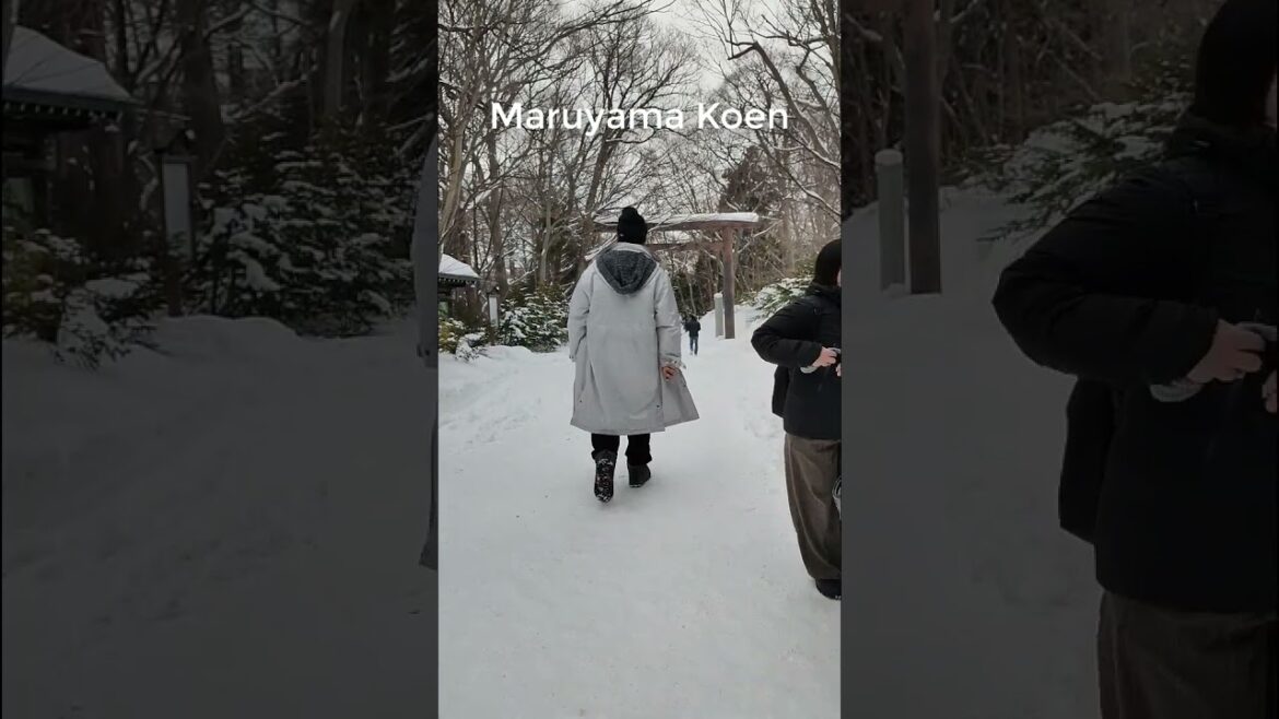 Maruyama Park Sapporo Snow Wonderland