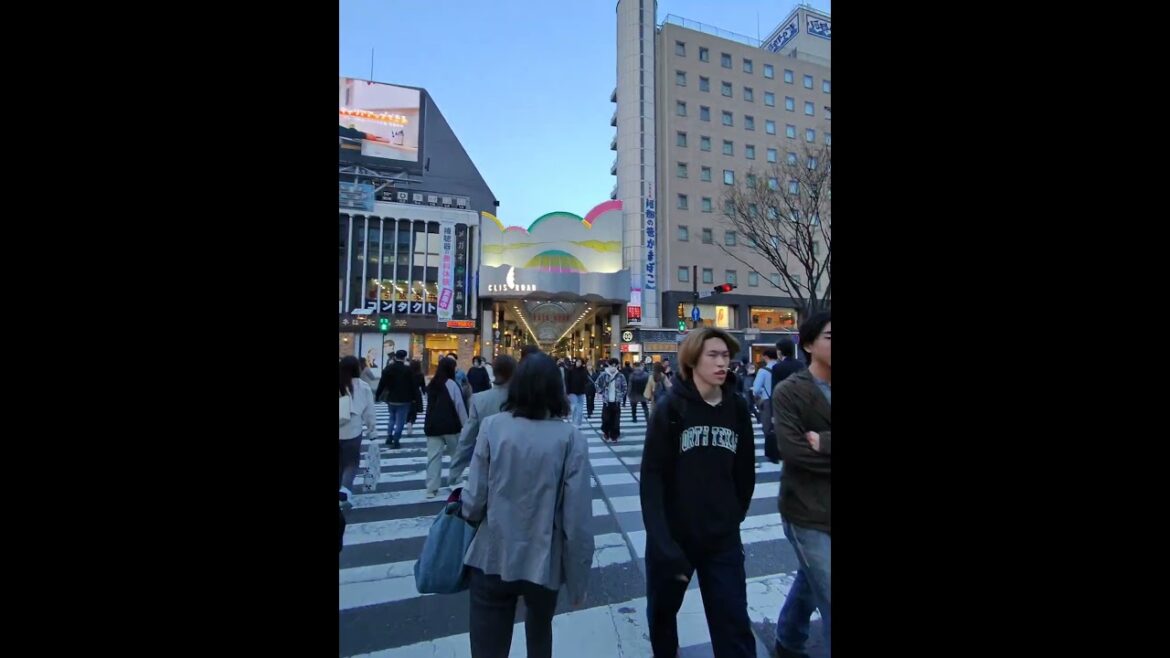 Love the noises in Japan 🗾 #sendai #noises #japan #crossing