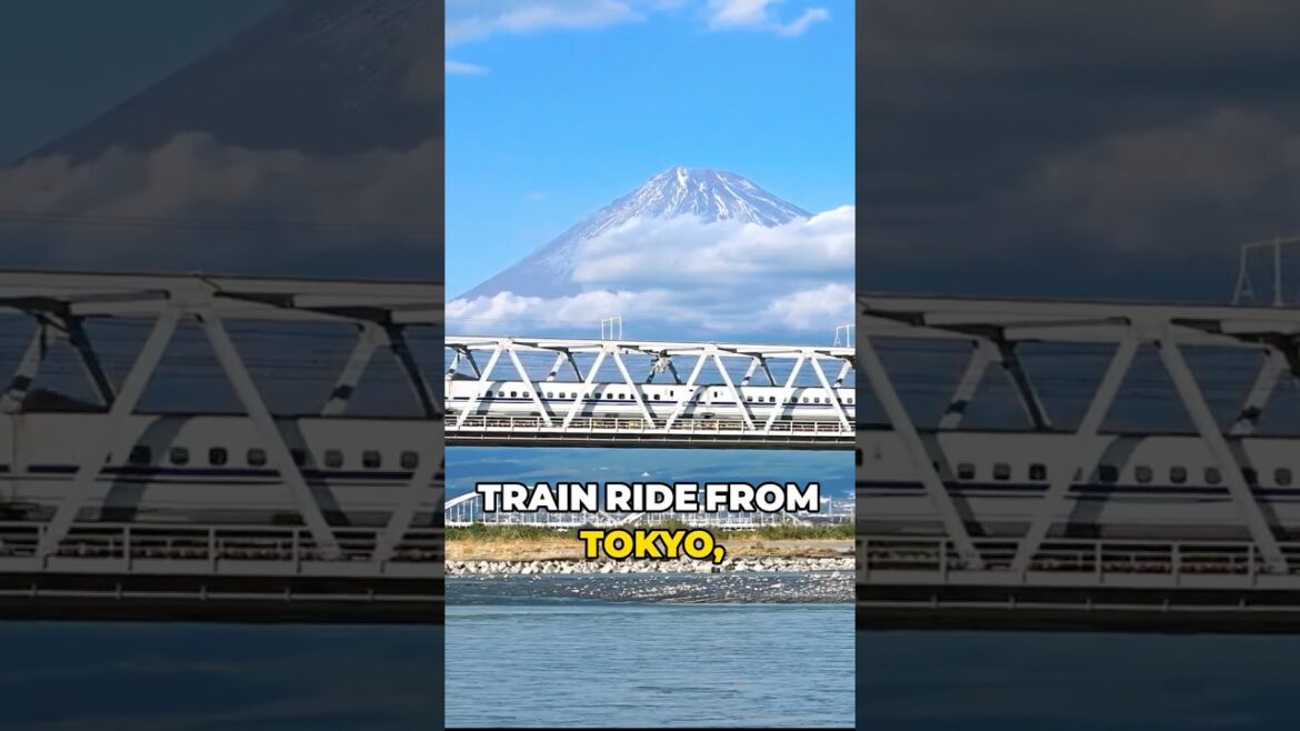 How Japan's Richest Man Enjoys His Vacations