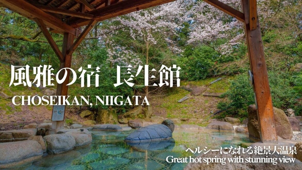 Ryokan with Highly effective hot spring and detached house of stunning view【 Choseikan, Niigata】