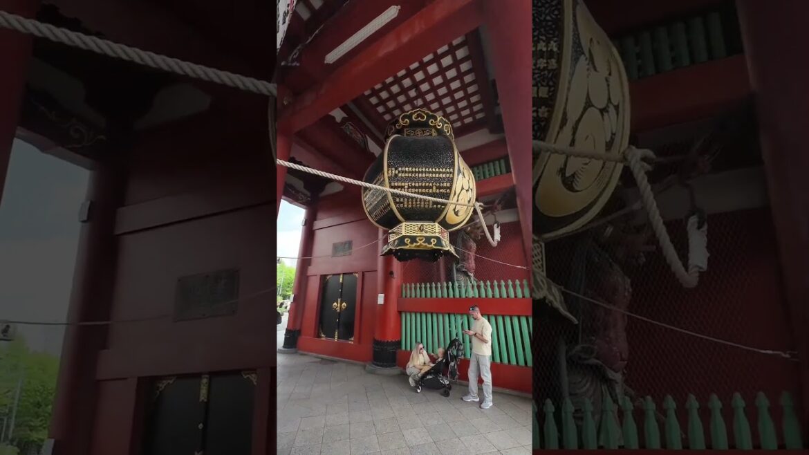 Tokyo Japonya part 2 #tokyo #japan #japonya #shorts #travel #trip #funny #road #vlog #shortvideo