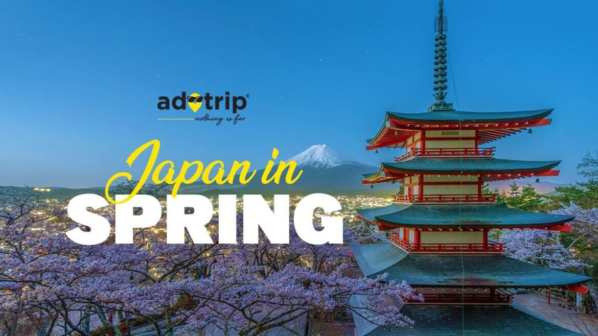 Best Place to See Cherry Blossoms in Japan 🌸 | Virtual Tour + Travel Tips! Best Place to See Cherry Blossoms in Japan 🌸 | Virtual Tour + Travel Tips!
