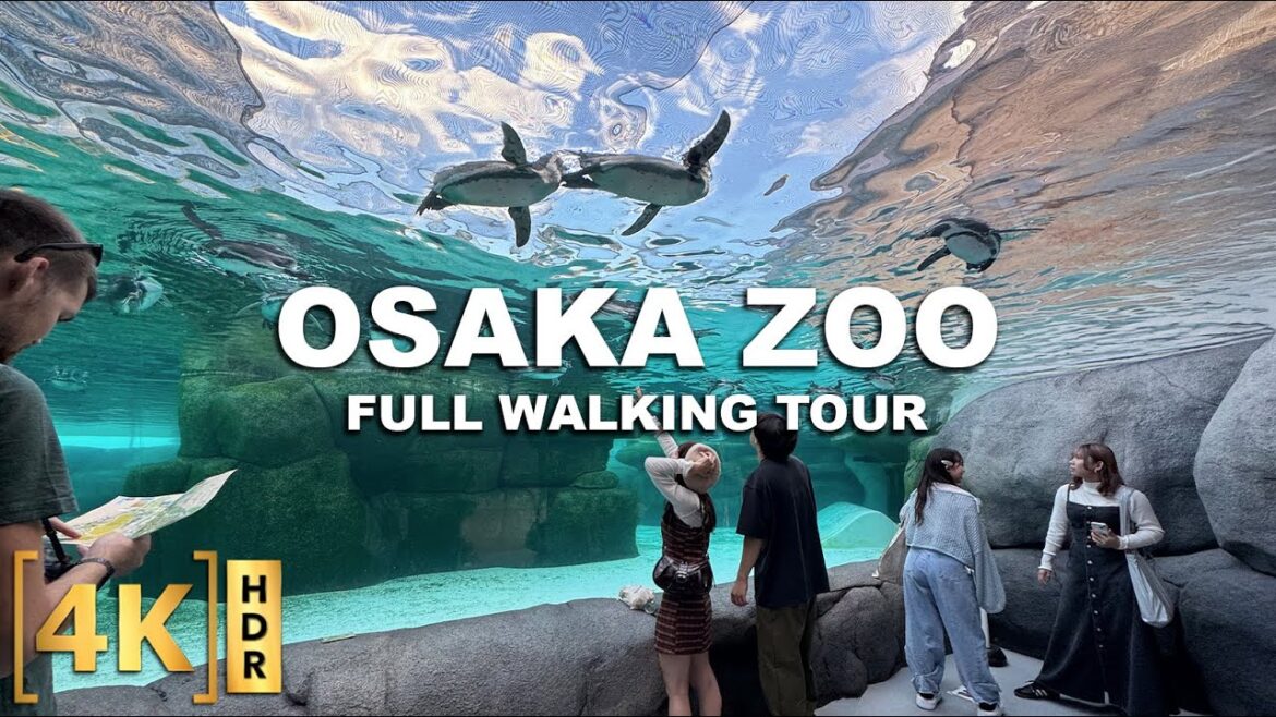 OSAKA TENNOJI ZOO - One of Japan's Oldest Zoos! Since 1915! | Full Walking Tour 2025