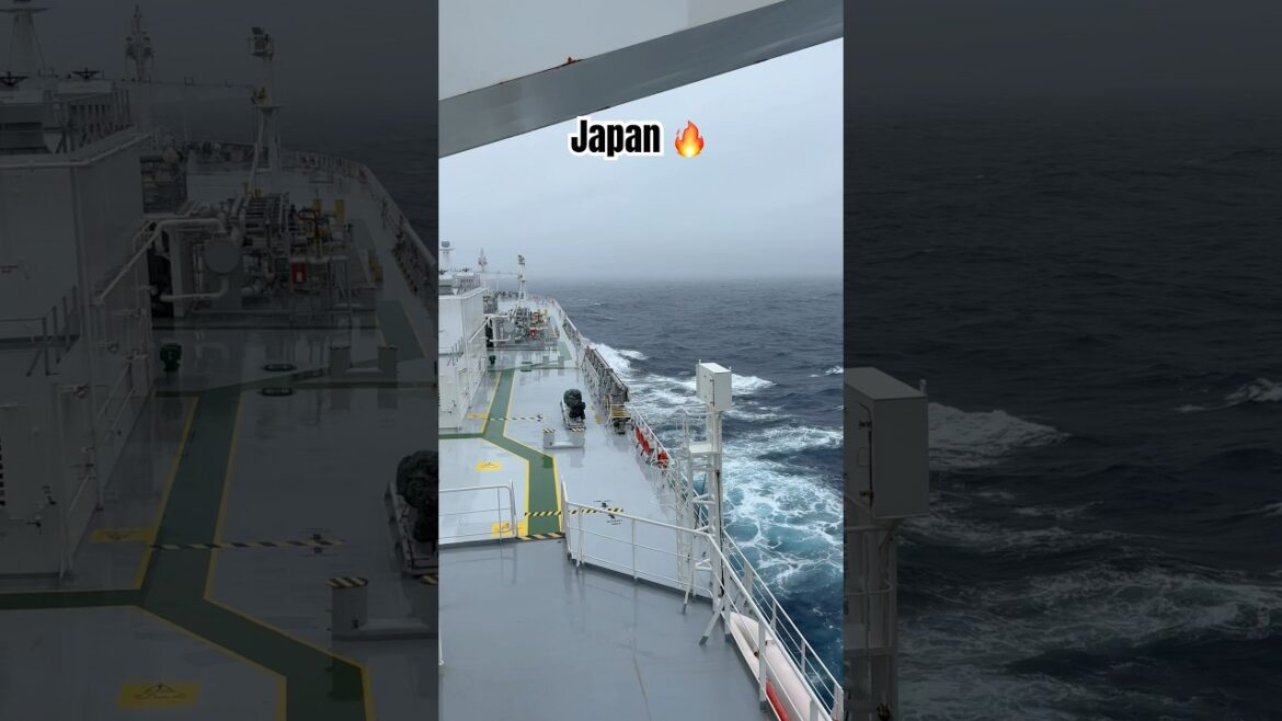 BAD WHETHER IN JAPAN || tha ship are mind blowing || #tokyo #japan #travel #shinkansen