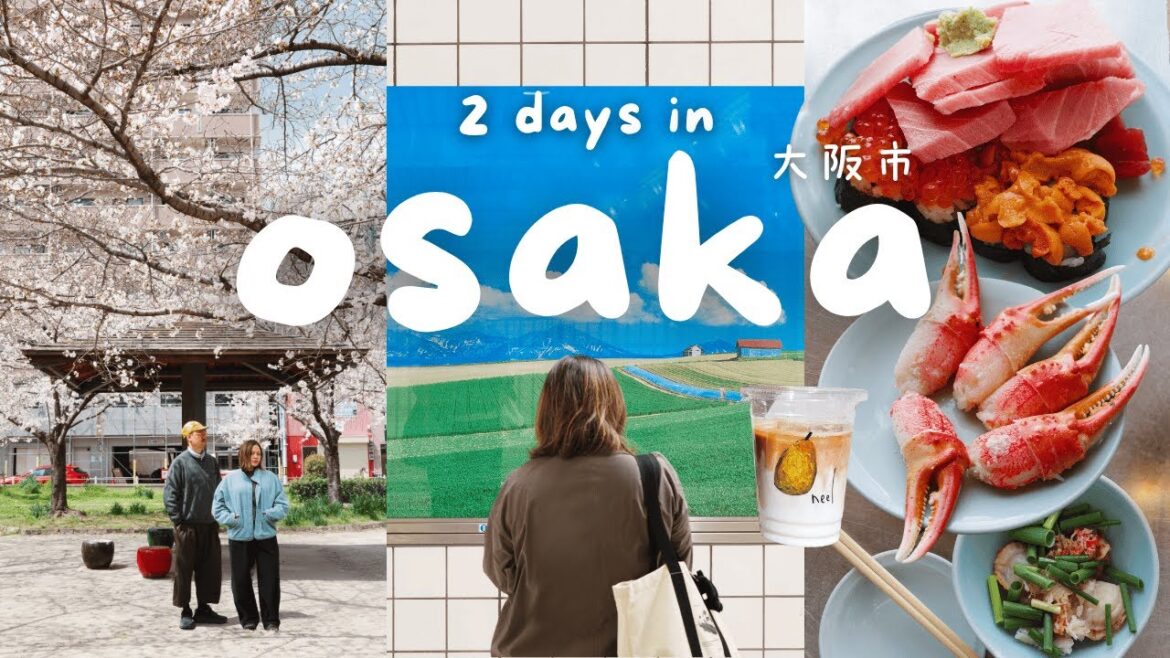 2 Days in Osaka Japan π―π΅ Best Street Food, Must Visit Places, Cafes, Shopping, Japan Travel Vlog 2 Days in Osaka Japan π―π΅ Best Street Food, Must Visit Places, Cafes, Shopping, Japan Travel Vlog