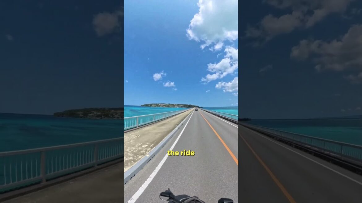 One hand for the shot 🛵 📸