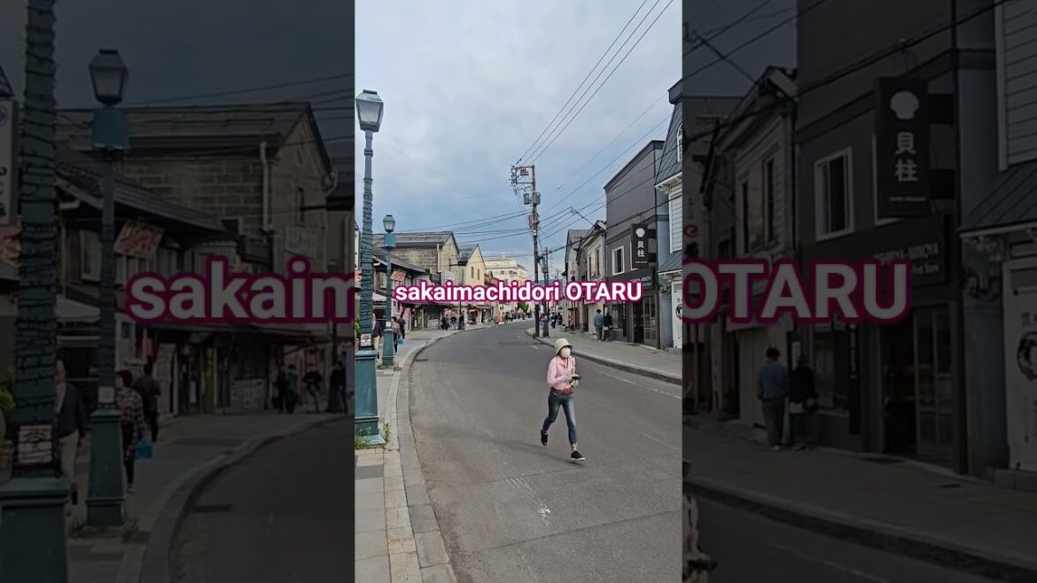 #sakaimachidori #otaru #japan #travel #shorts #foryou #youtube