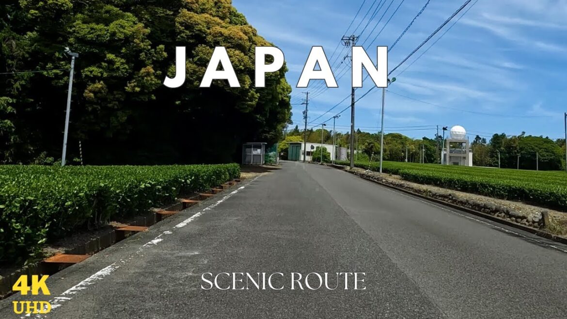 Scenic Drive Through Japan's Countryside | Shizuoka in 4K 🚙