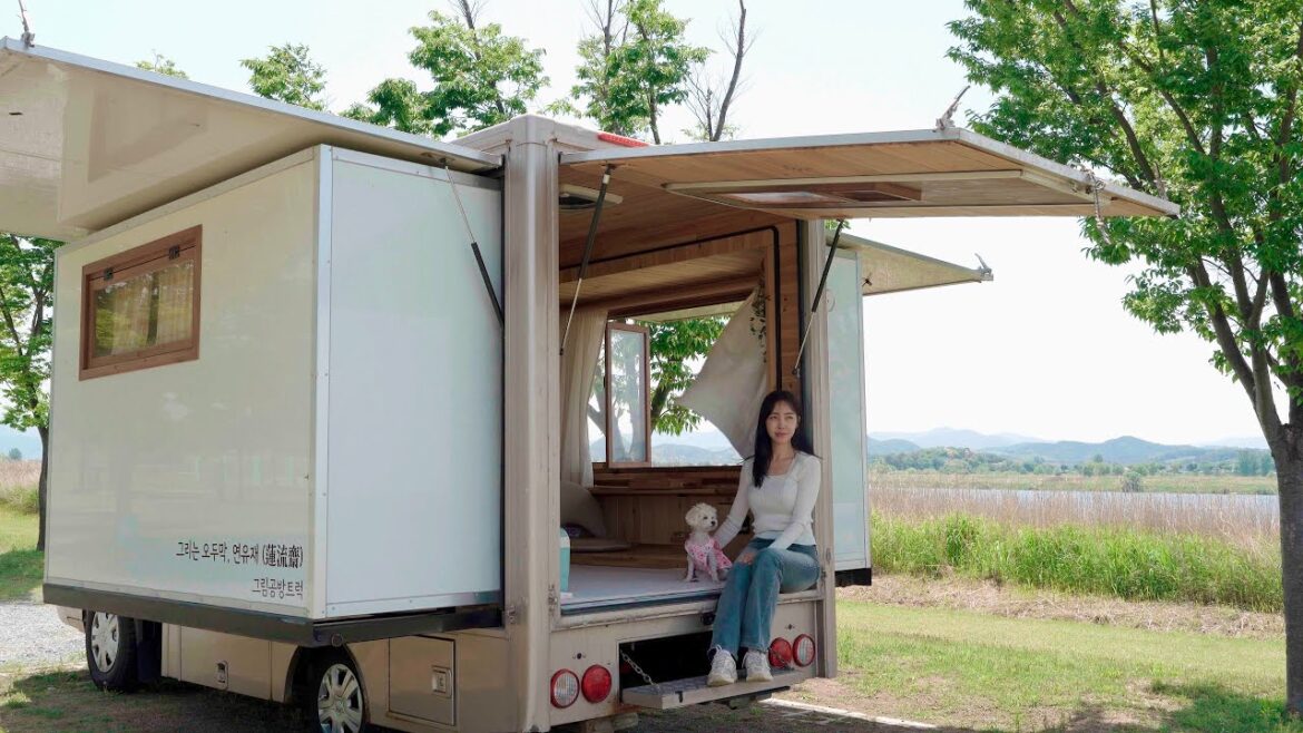 확장형 트럭에서 강아지 생일 파티하며 보내는 힐링차박 | 강아지생일 케이크만들기 | 황매산철쭉과 운해 | 그림