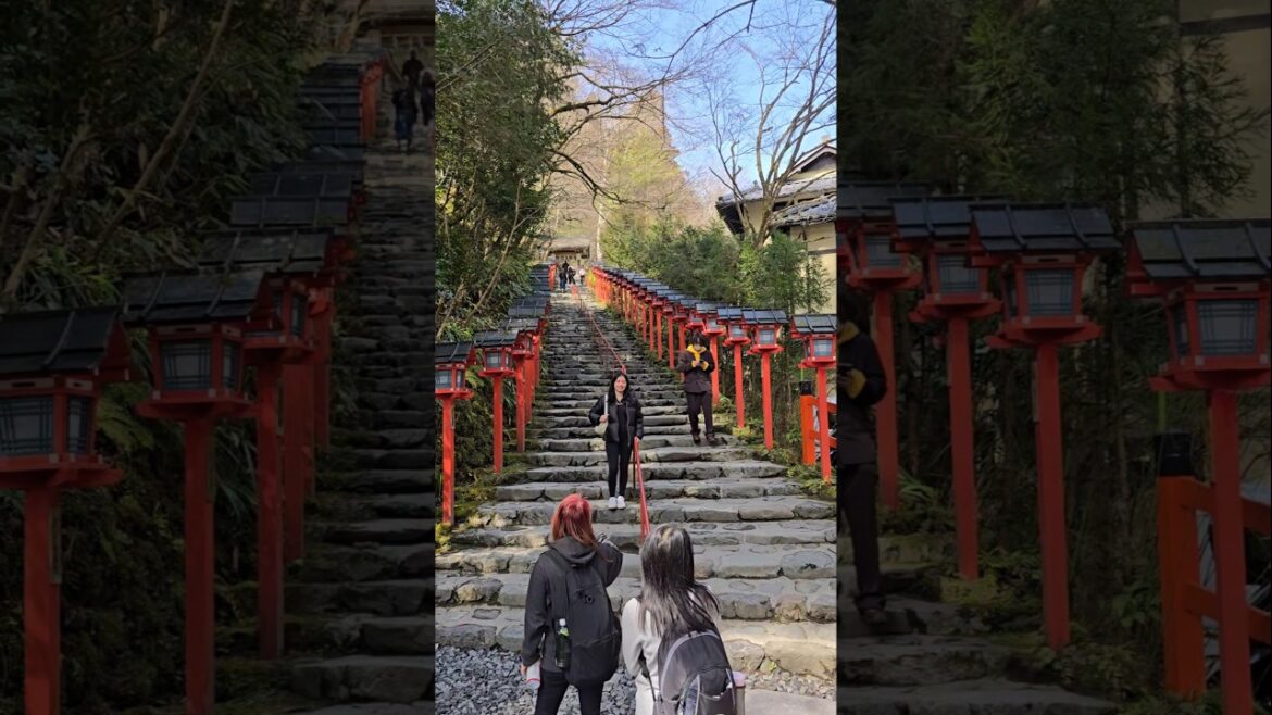【Japan Trip】 Beautiful Shrine in Kyoto!! #japan #japantravel #kyoto 【Japan Trip】 Beautiful Shrine in Kyoto!! #japan #japantravel #kyoto