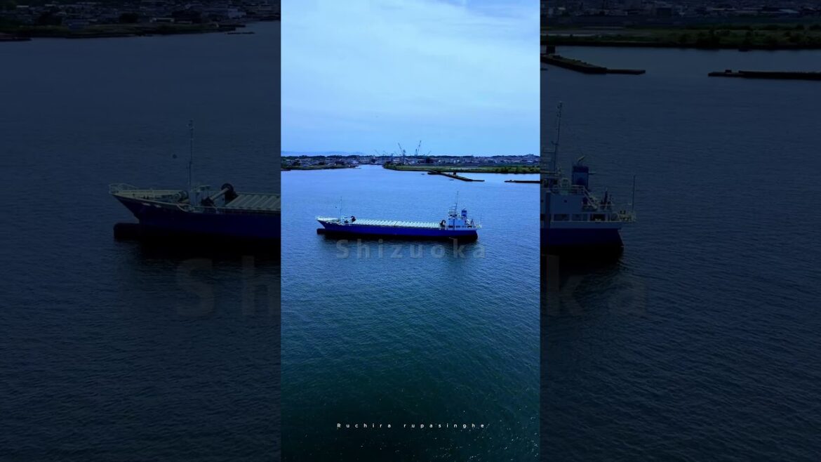 Miho π―π΅| Shizuoka Miho π―π΅| Shizuoka