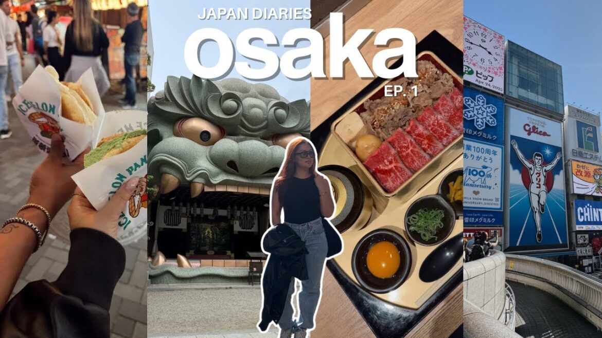 Japan Diaries: Osaka Travel Vlog 🇯🇵 | Dotonbori, Street Food & Temples