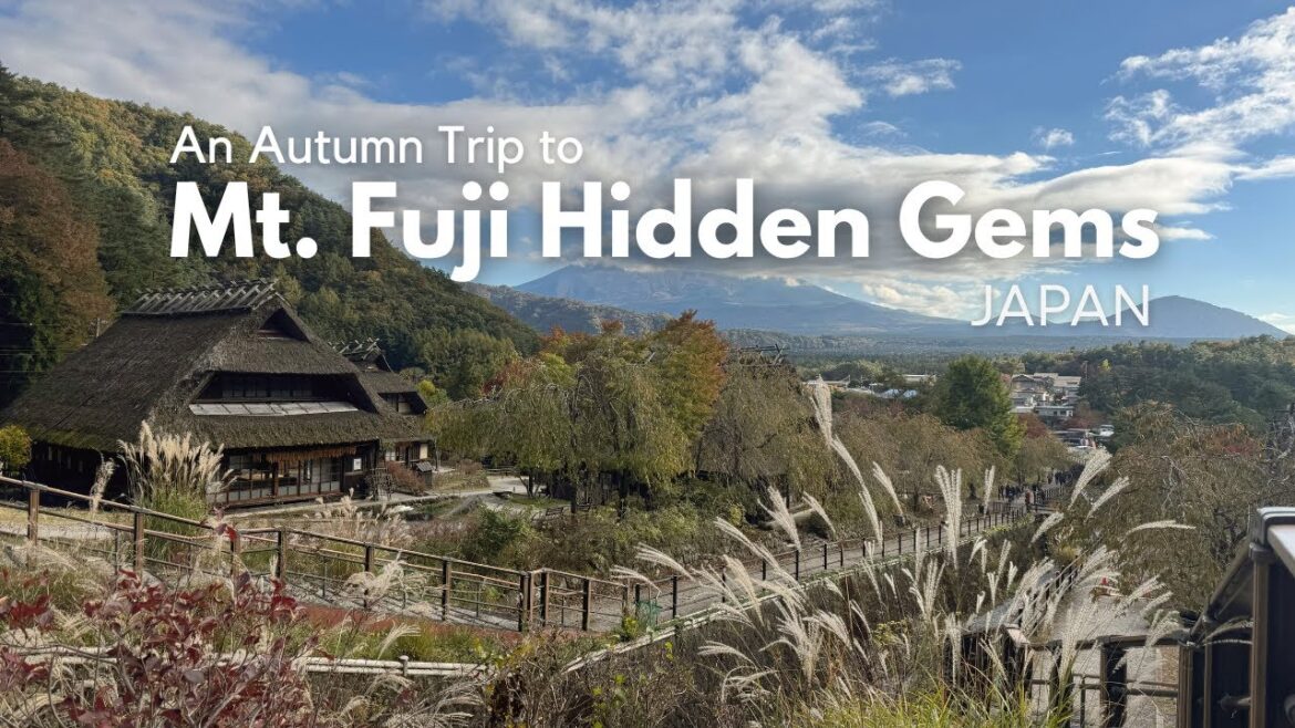 Tokyo to Mt. Fuji in 1 Day | Autumn Hidden Gems + How to Get There (Japan Slow Travel Vlog)