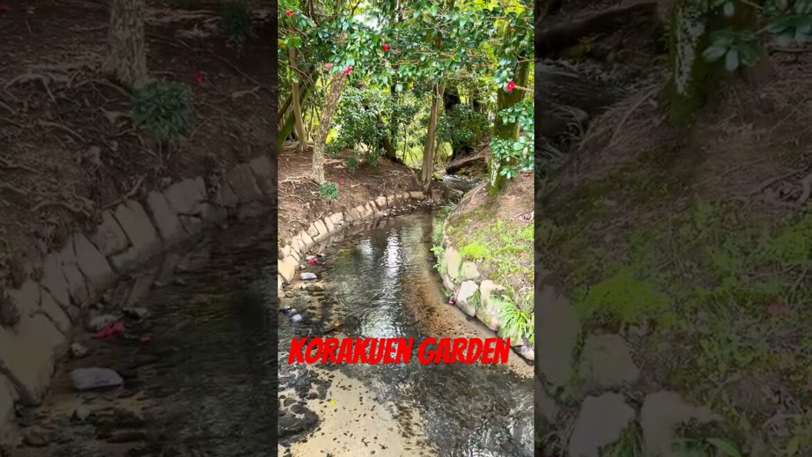 🌸 Korakuen Garden - Okayama’s Timeless Beauty