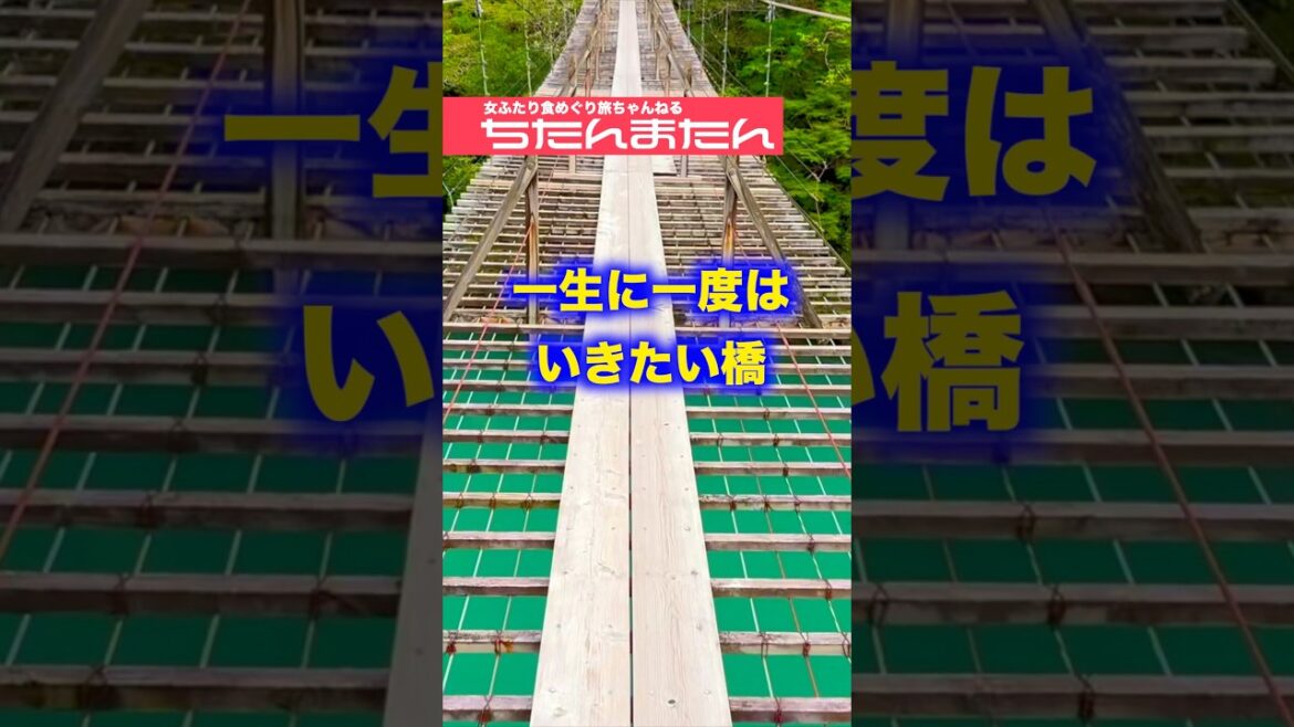 一生に一度は行きたい観光地・静岡の寸又峡　#旅行 #静岡 #観光 #寸又峡 #旅行 #奥大井湖上駅  #宿泊記 #宿泊 #寸又峡温泉 #翠紅苑 #温泉 #絶景 #夢の吊り橋 #景観地 #おすすめ