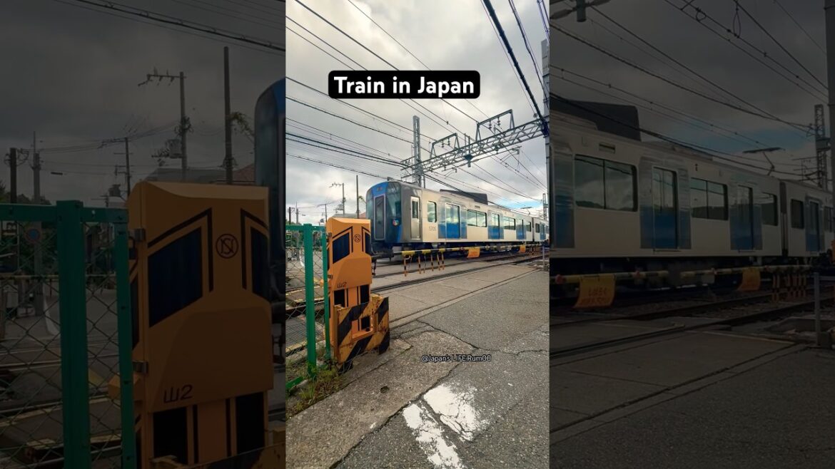 Train in Japan #lifeinjapan #train #日本祭典 #japan #travel #railway #japantrip #people #japanlife