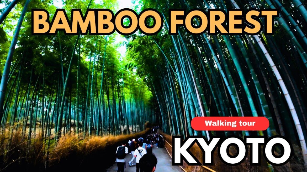 Kyoto Arashiyama Bamboo Forest Walking Tour [4K] March 2025