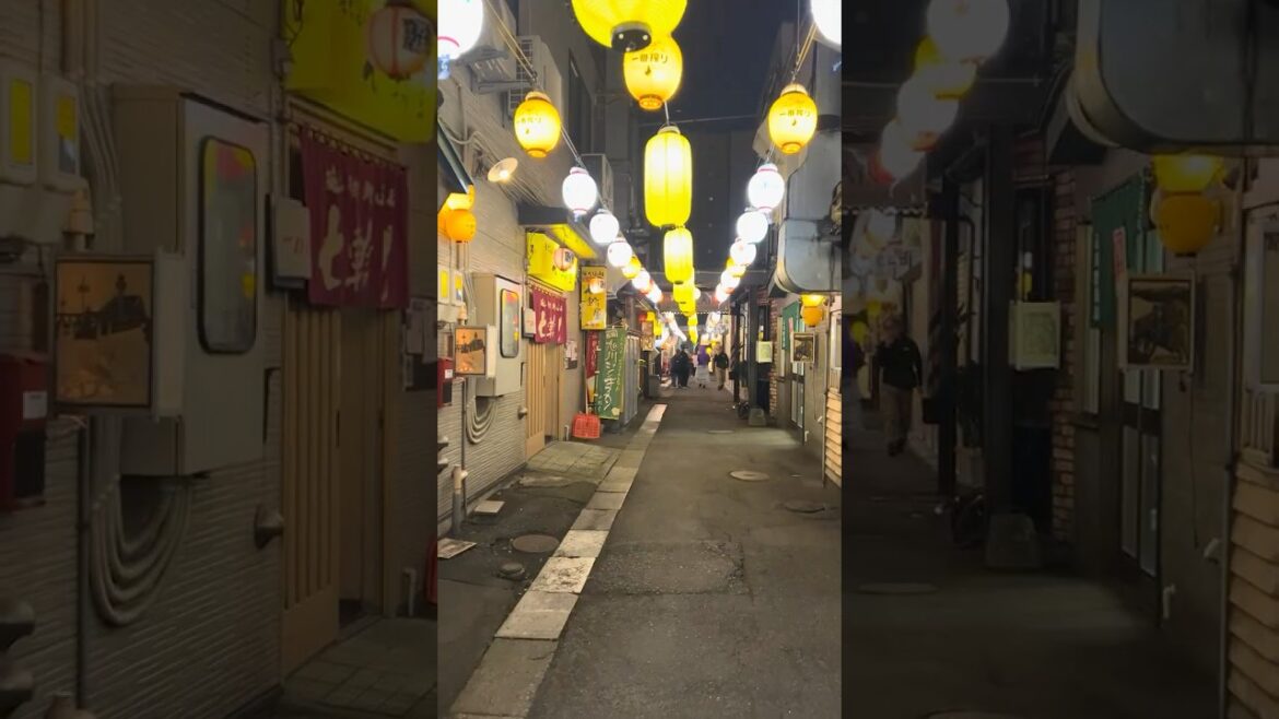 Dusk Walk Through Asahikawa's Shopping Street