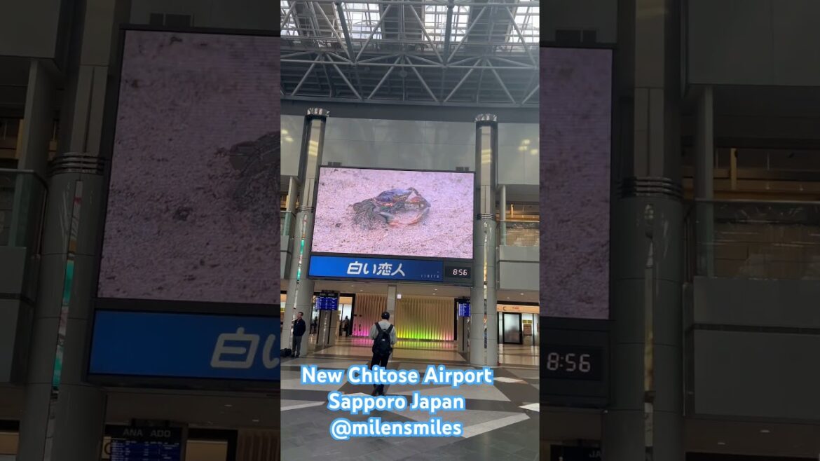 New Chitose Airport Sapporo Hokkaido Japan #japantravel #travel #japan New Chitose Airport Sapporo Hokkaido Japan #japantravel #travel #japan
