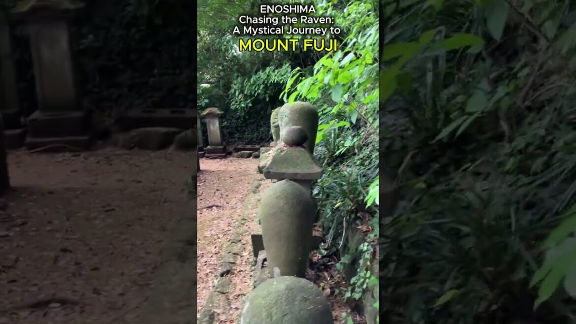 Where to Experience the True Majesty of Mount Fuji! Breathtaking Views Await! #japan #travel Where to Experience the True Majesty of Mount Fuji! Breathtaking Views Await! #japan #travel