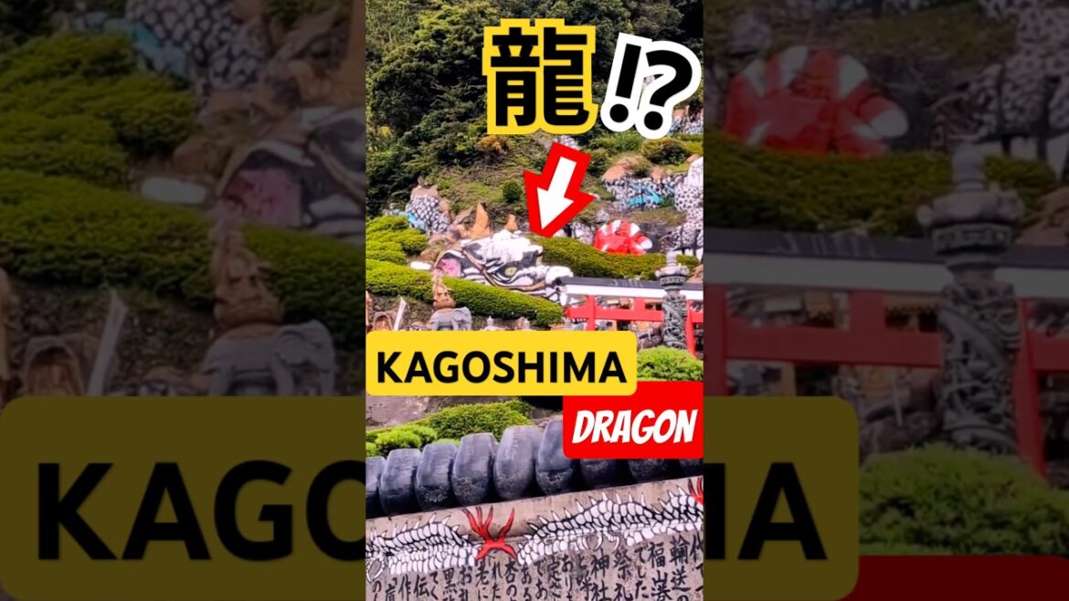 鹿児島の龍/KAGOSHIMA Dragon #鹿児島 #鹿児島旅行 #鹿児島観光 #japan #japantravel #kagoshima