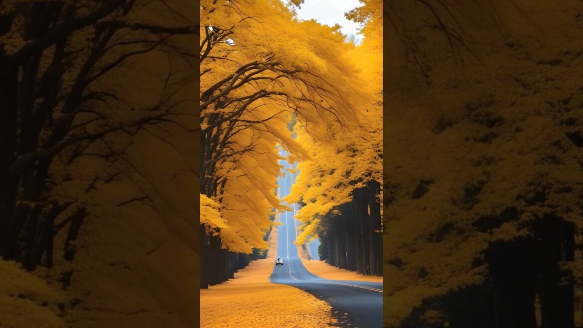 JAPAN in Spring 🌸