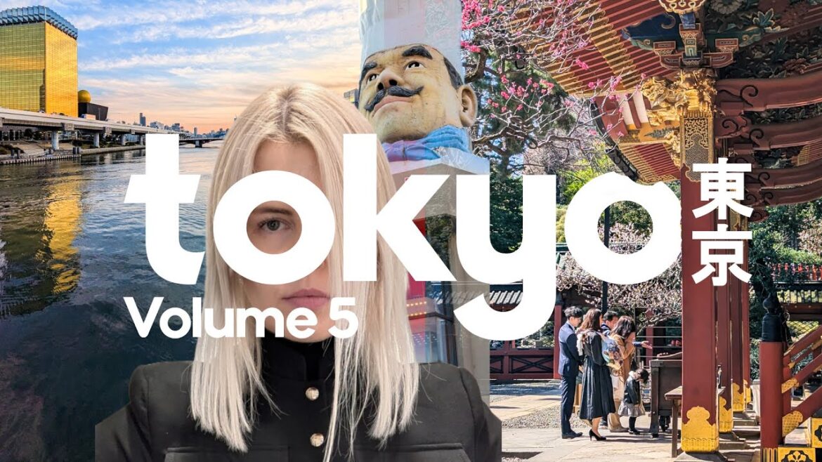 walking through old tokyo: nezu shrine, yanaka ginza & asakusa | tokyo vlog walking through old tokyo: nezu shrine, yanaka ginza & asakusa | tokyo vlog