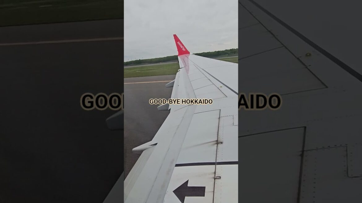 #sapporo #japan #hokkaido #shorts #youtubeshorts #travel #foryou #family #love