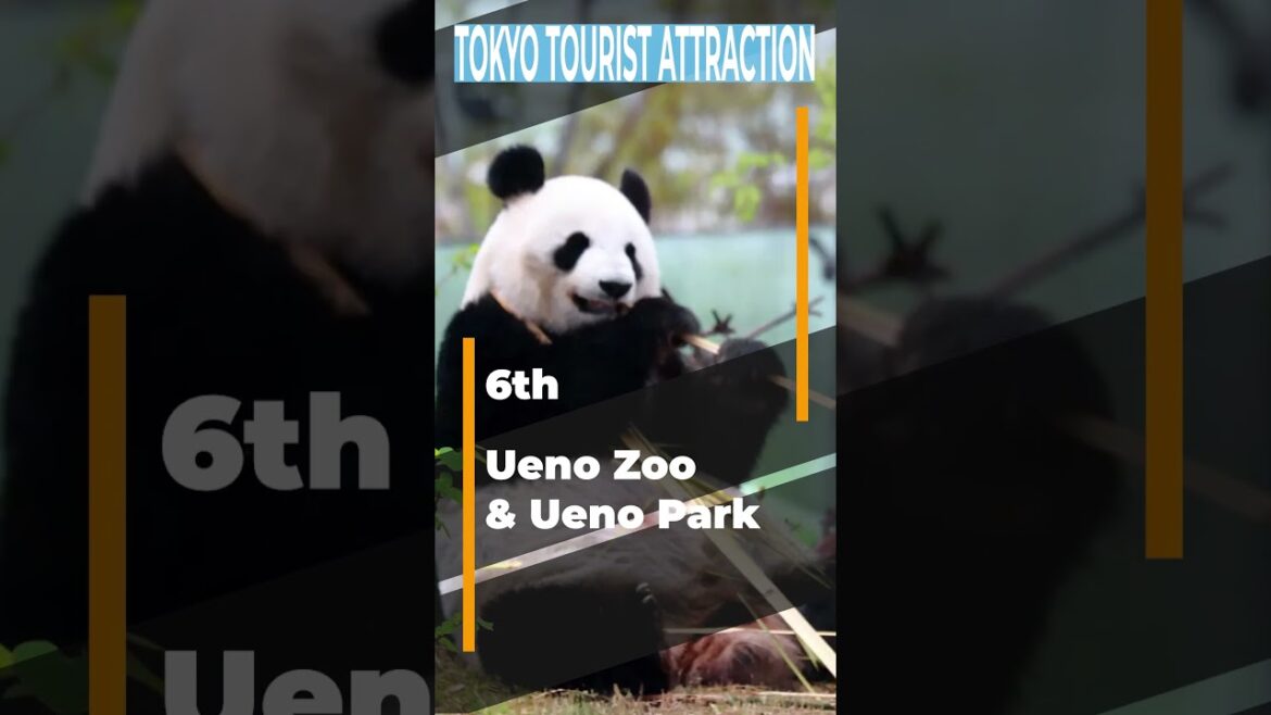 TOKYO Tourist Attraction TOP10
