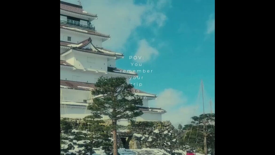 POV: You remember your trip to Japan. #shorts #japantravel #fyp #traveltok