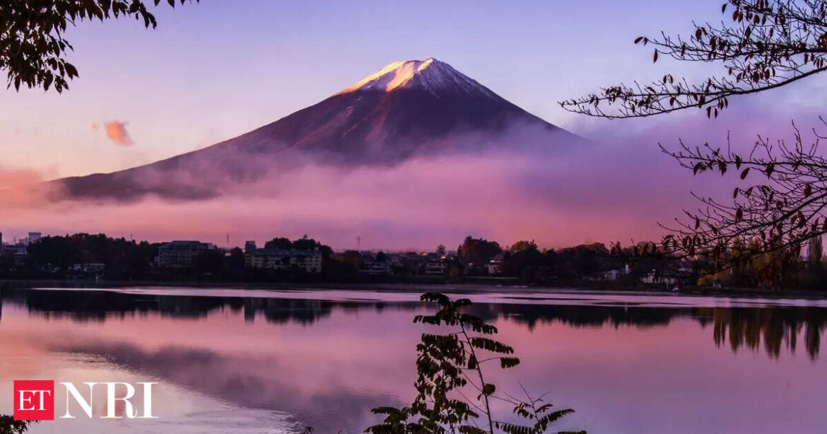 Indian tourism blossom in Japan with record high visits in 2024