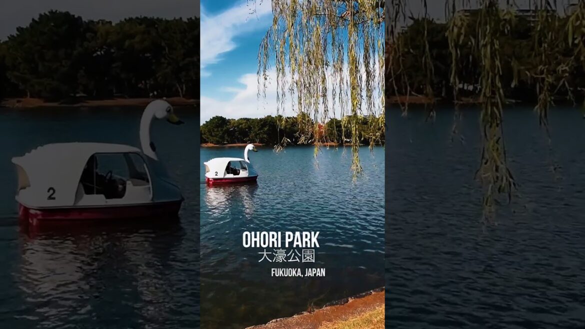#shorts #japan #kyushu #fukuoka #ohoripark #autumn #traveljapan #visitjapan #wanderlust