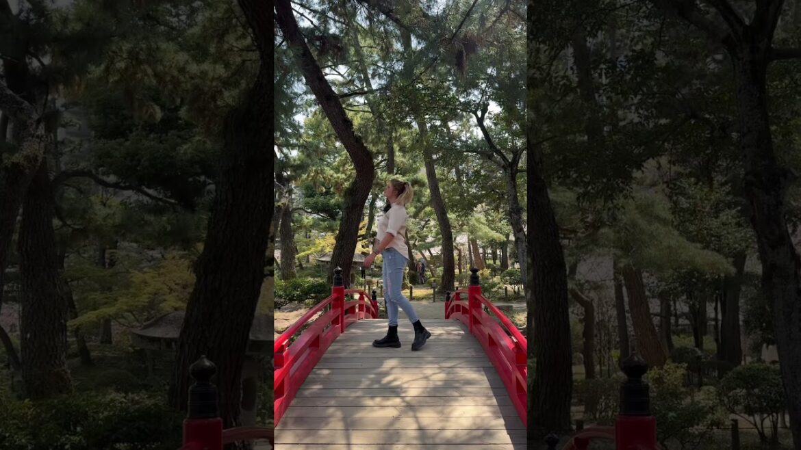 Japan ❤️ #hiroshima #solotravel  #travelvlog  #traveldiaries