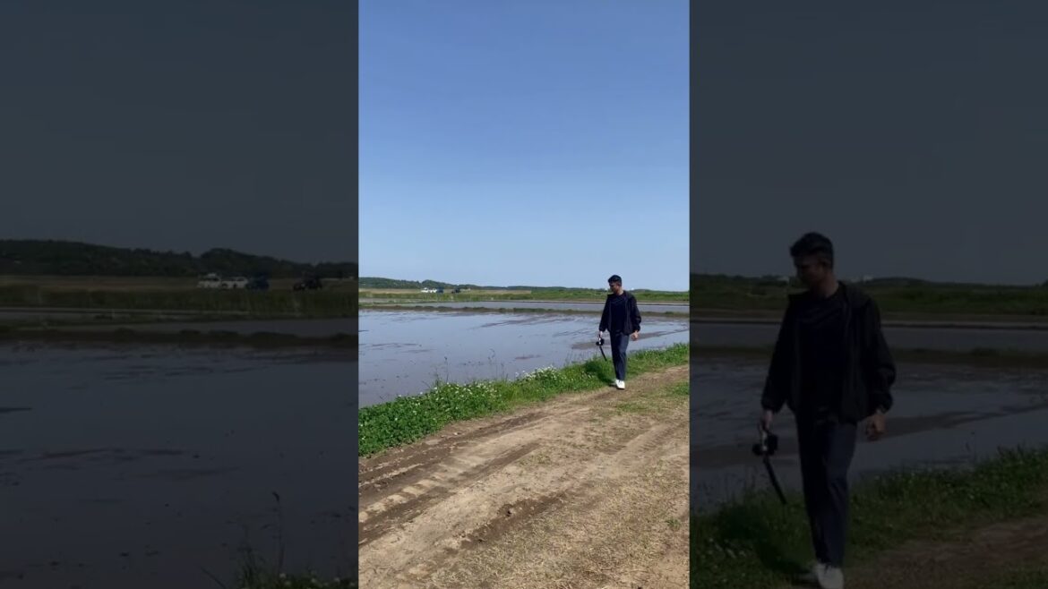 The feel of  Assam in 🇯🇵 cycling around lake Inbanuma, Narita, Chiba