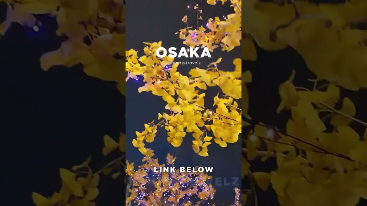 #tokyo #osaka #ohtani #kyoto #shibuya #ginza #onsen #shinjuku #soba #ramen #tokyotravel #japan