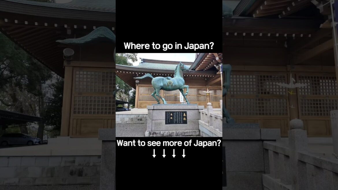 Top Places to Visit in Kumamoto｜熊本で行くべきスポット｜熊本必訪景點#KumamotoTrip #HiddenGemsJapan #熊本観光 #日本旅行 #九州景點