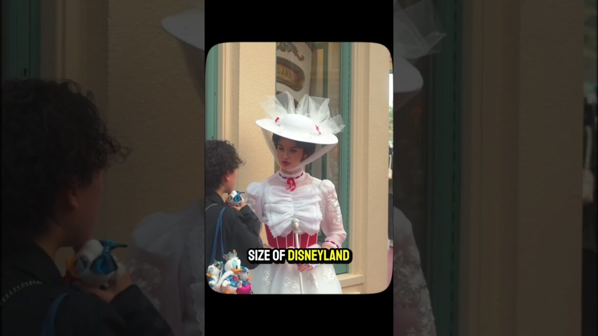 Tokyo Disneyland π°π’ What I Wish I Knew Before Visiting Tokyo Disneyland π°π’ What I Wish I Knew Before Visiting