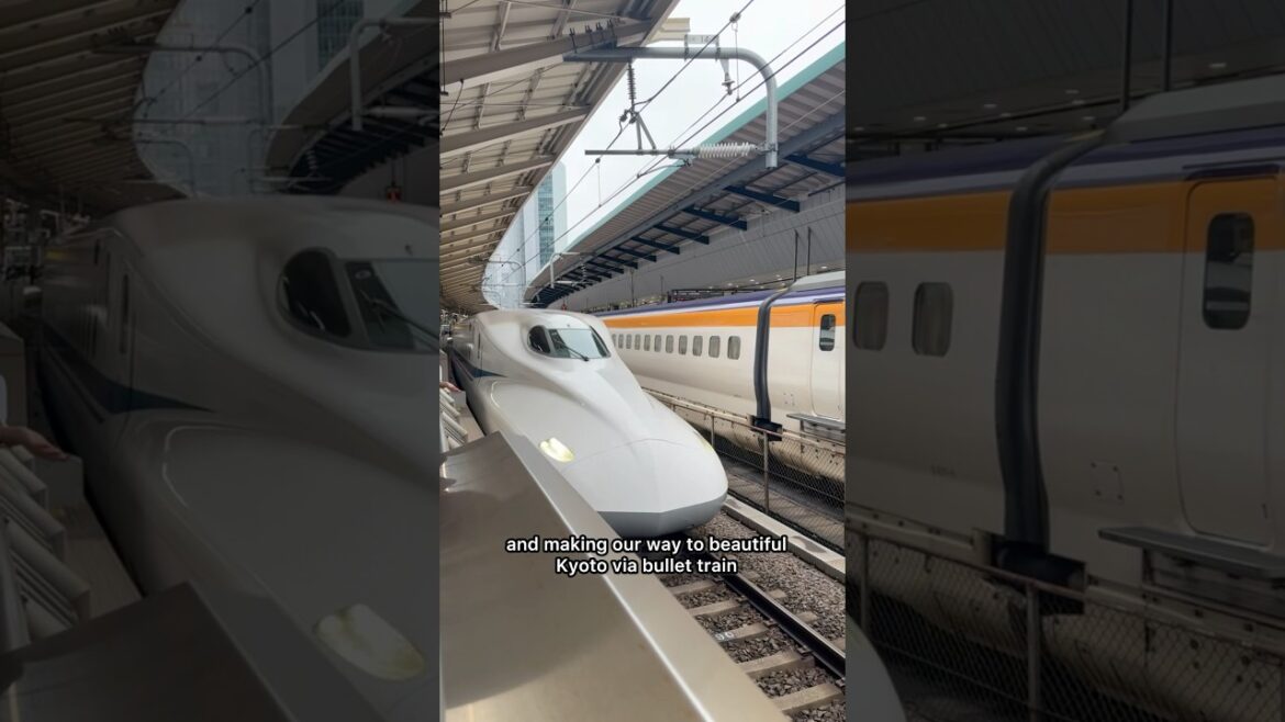 VIVE 🇯🇵 Japan Group Tour  #insidejapan #japanvlog Best Hotels in Kyoto, Shinkansen Train VIVE 🇯🇵 Japan Group Tour  #insidejapan #japanvlog Best Hotels in Kyoto, Shinkansen Train