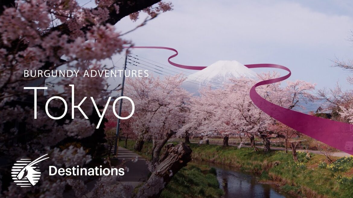 Burgundy Adventures | Tokyo (4K)