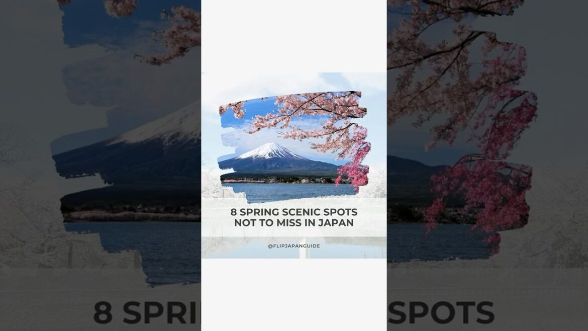 Spring in Japan is absolutely breathtaking!