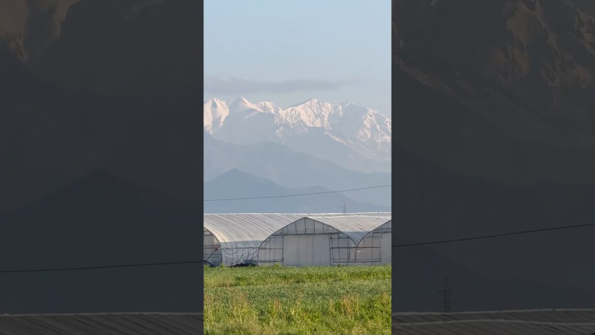 Discover Azumino: Japan’s Hidden Gem in the Japanese Alps | Nature, Wasabi & Culture