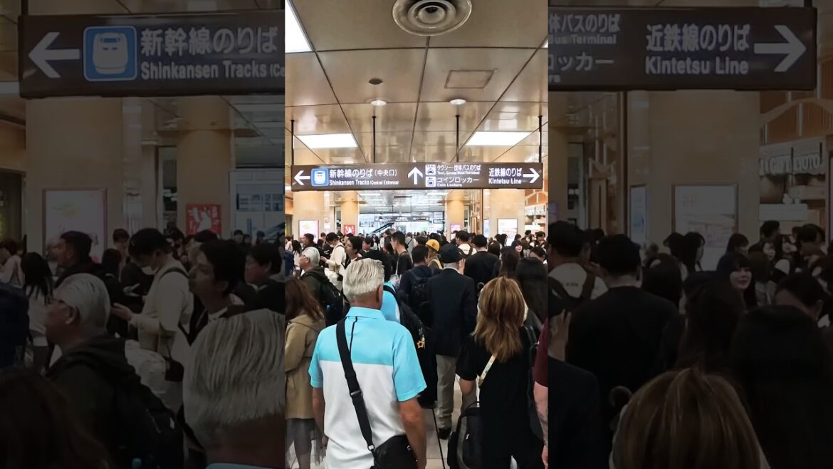 2025年5月24日（土）週末の京都駅の人出状況。観光客大殺到！週末京都車站人潮擁擠。大量遊客湧入！Crowds at Kyoto Station on the weekend.