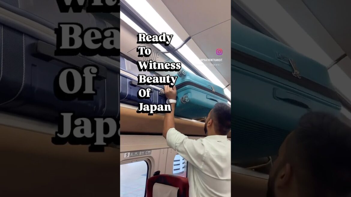 Japan in 30 seconds #japan #travel #nara #tokyo #osaka #nagano Japan in 30 seconds #japan #travel #nara #tokyo #osaka #nagano