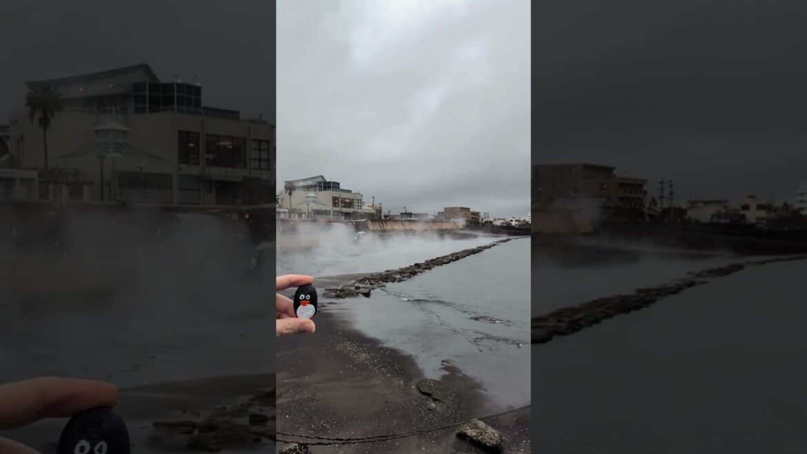 #279 – Ibusuki, Kagoshima, Japan  #penguinstones