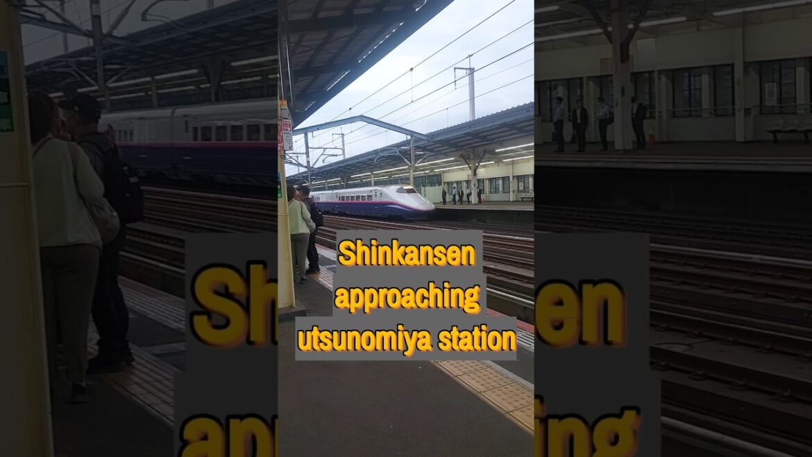 Shinkansen- approaching the utsunomiya station🇯🇵 #BulletTrain #shorts