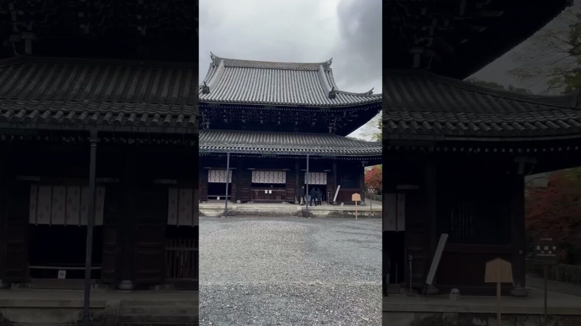 【KYOTO】 Must-See Hidden Gems - Sennyuji Temple